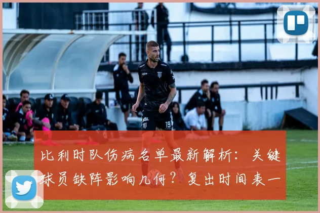 比利时队伤病名单最新解析：关键球员缺阵影响几何？复出时间表一览